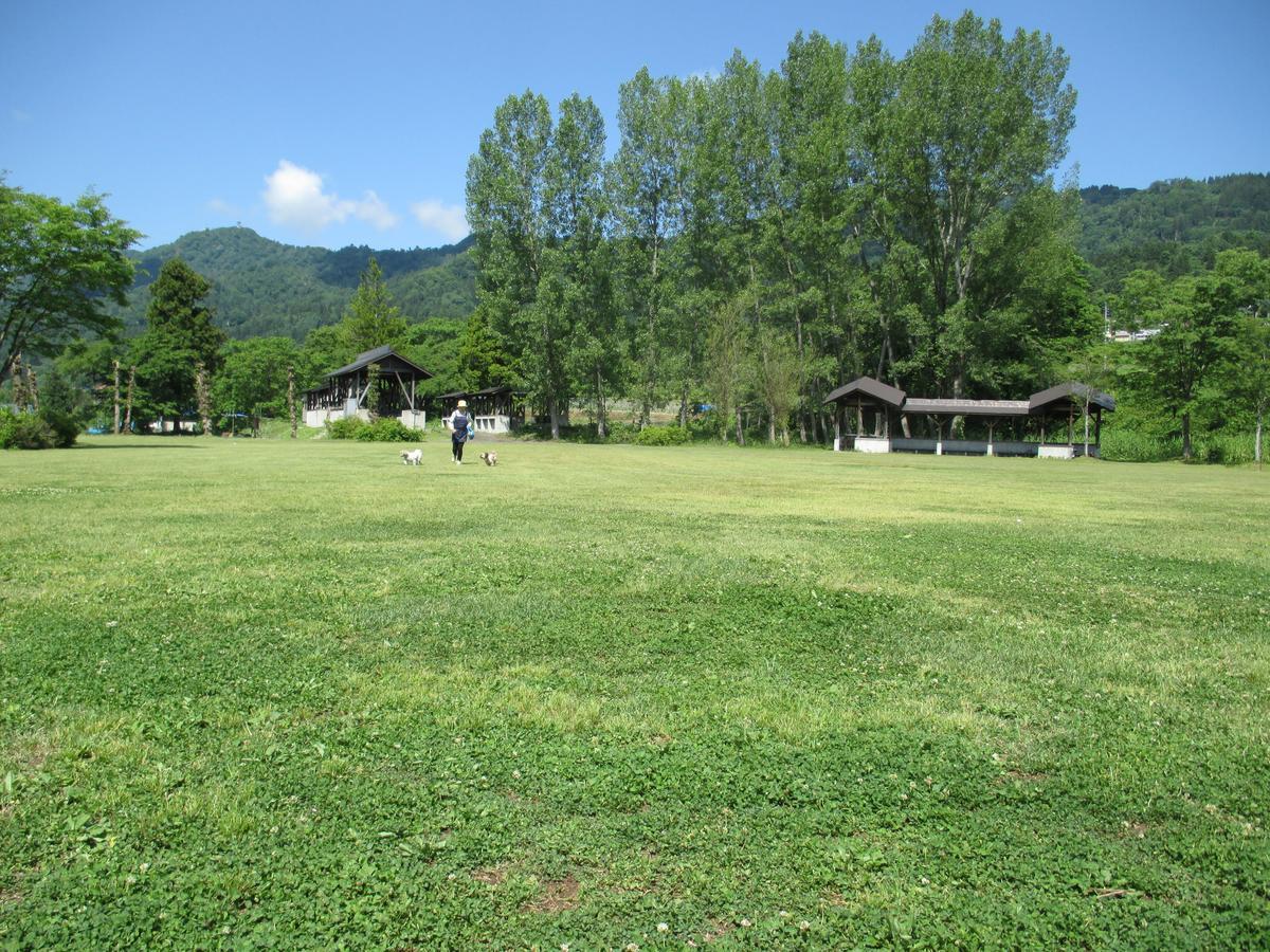 Togari Onsen Alpen Plaza Hotel Iiyama Exterior foto